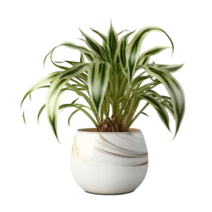 เศรษฐีเรือนใน